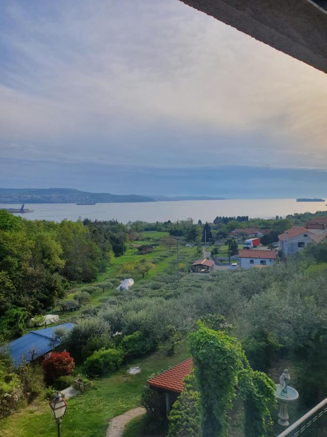 Apartma Aleksandra Ankaran Buitenkant foto
